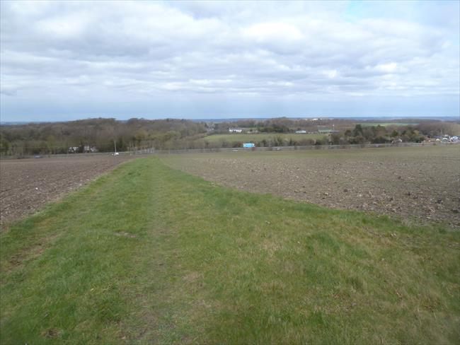 View across Cambridgeshire from Gallows Hill