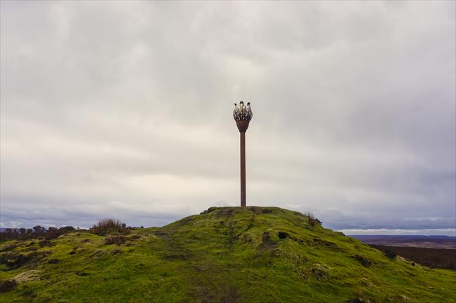 Danby Beacon