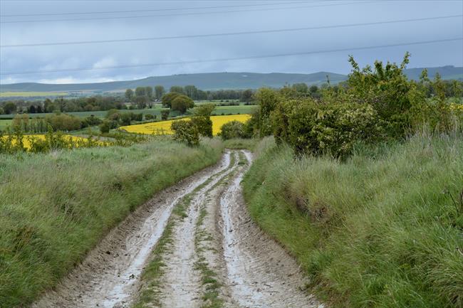 View down the hill