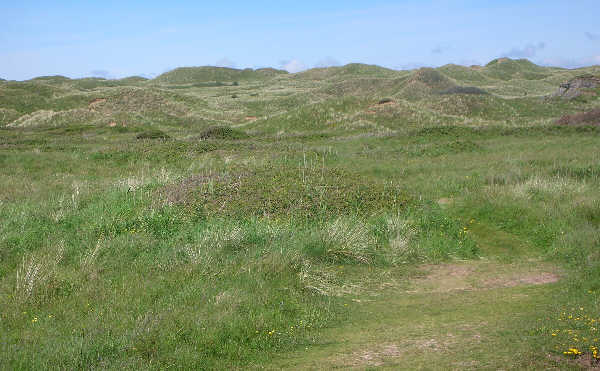 The dunes at Broughton Burrows