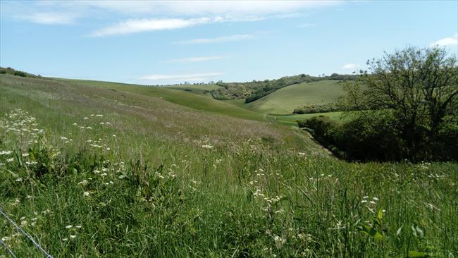 View from the Wessex Ridgeway