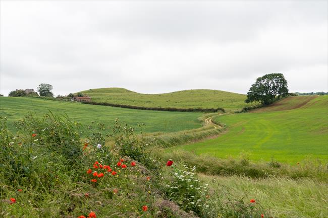 Glebe Farm, Tetford