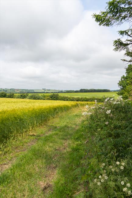 This peaceful route is abundant with summer wildflowers, autumn berries, and birds.