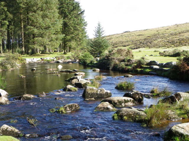River Dart East