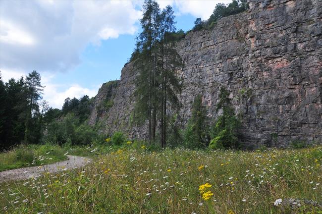 Llanymynech Rocks Nature Reserve