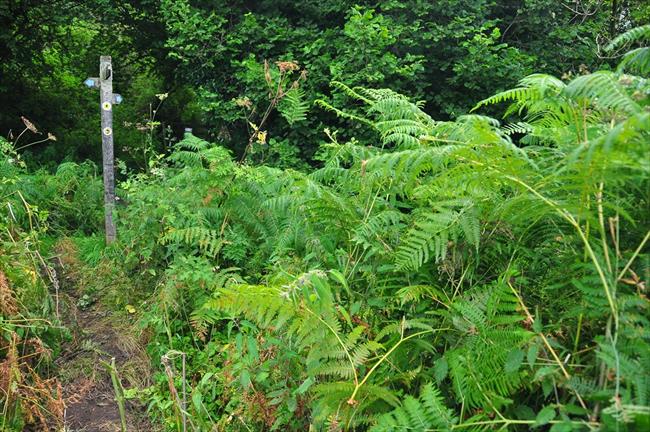 Fingerpost at Point 5, Llanymynech Hill