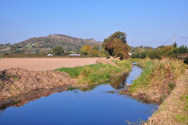 Llanymynech Hill from old canal