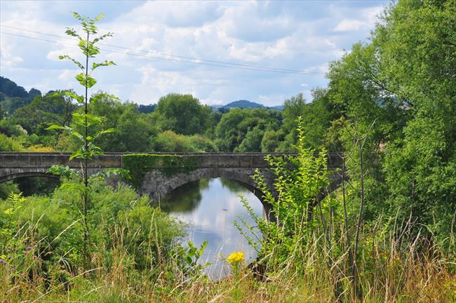 River Vyrnwy at Carreghofa