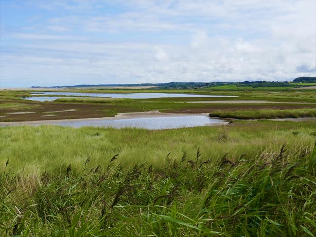 Marshes between Salthouse and Cley