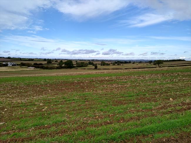 View north to Whissendine