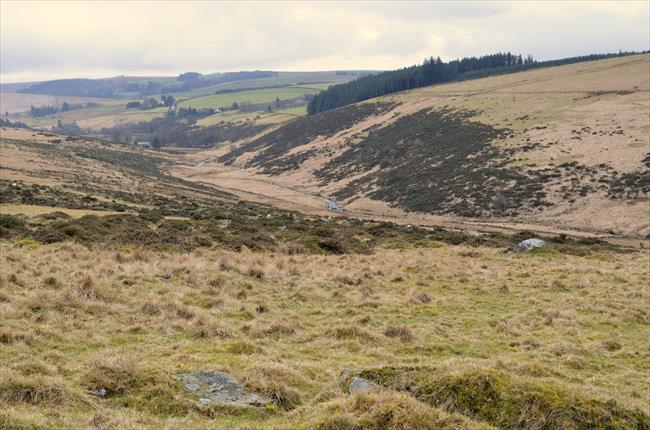 View from the slopes of Littaford Tor