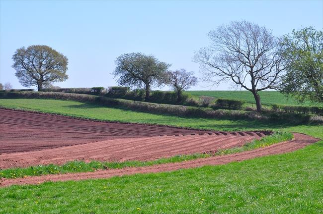Agricultural art above Willington