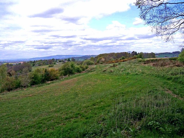 Bromyard Downs