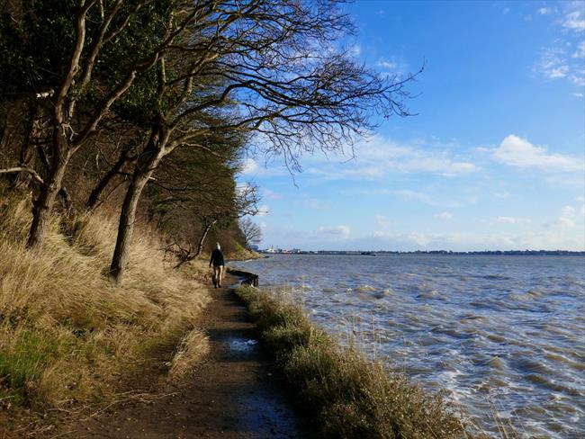 Shore of the Stour Estuary near Shotley