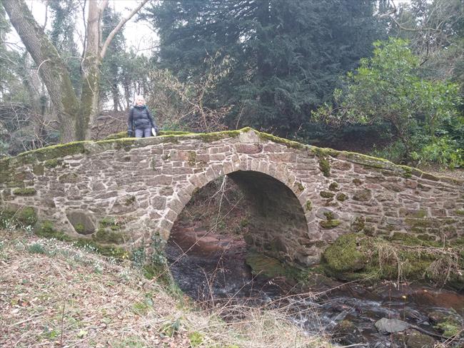 First bridge over the Leckie Burn