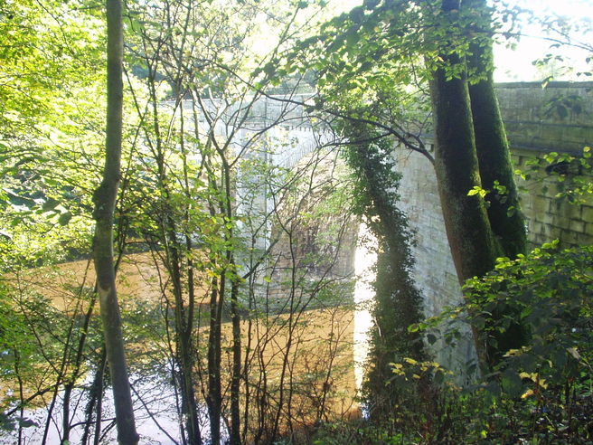 Prebends Bridge through the leaves