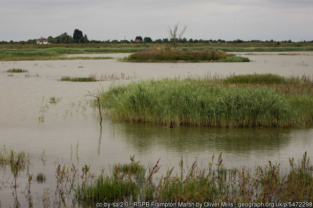 Frampton Marsh