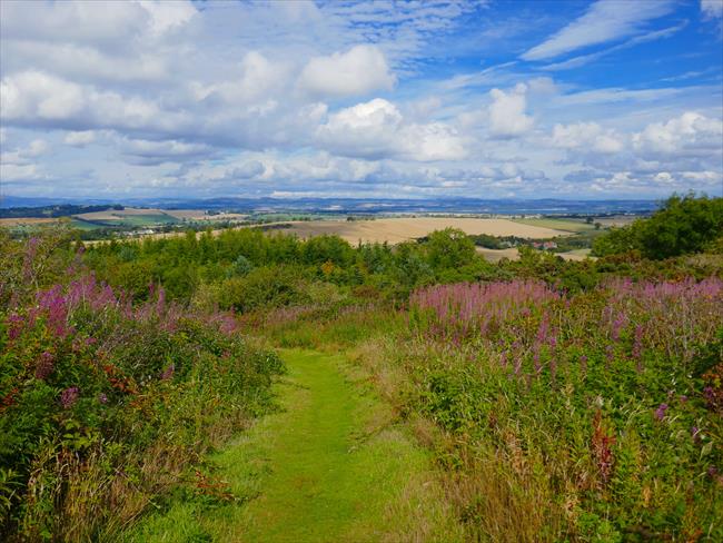 View from Beecraigs