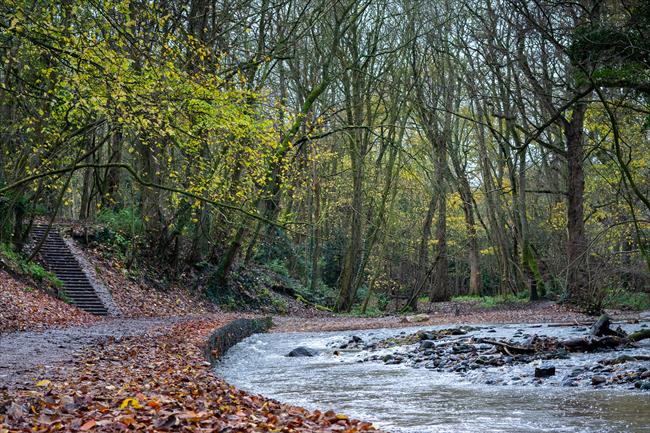 Following the River Skell through Hell Wath Nature Reserve