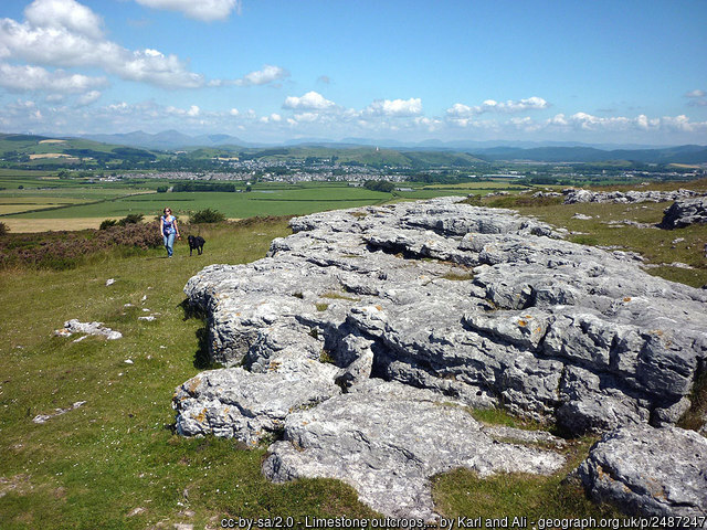Limestone outcrops, Birkrigg Common