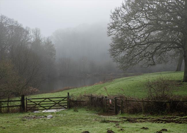 Misty morning