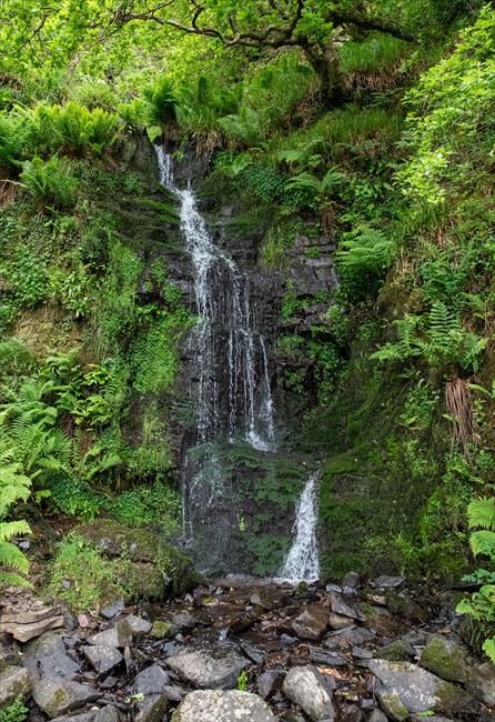 The Waterfall