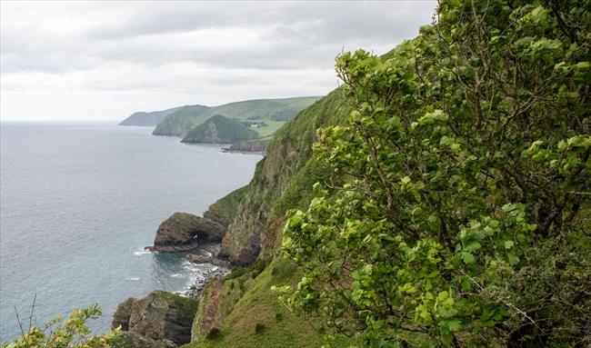 Coastal view