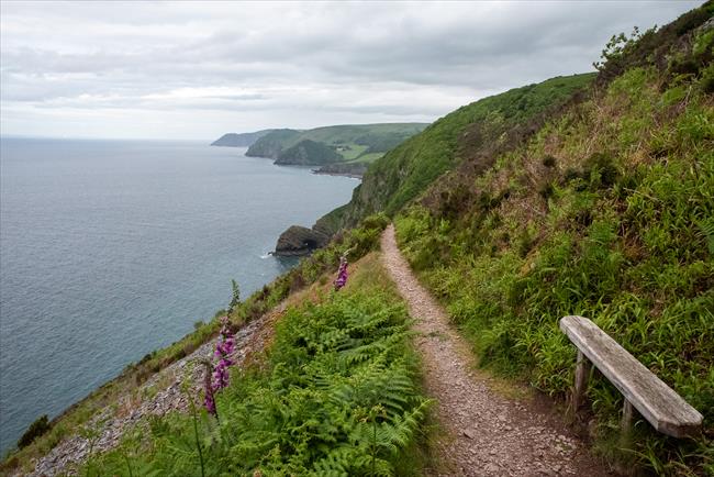 A bench with a view