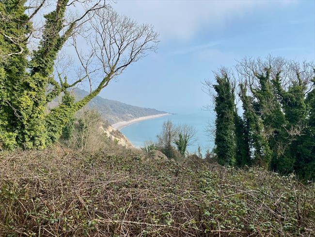 A rare view along the coast