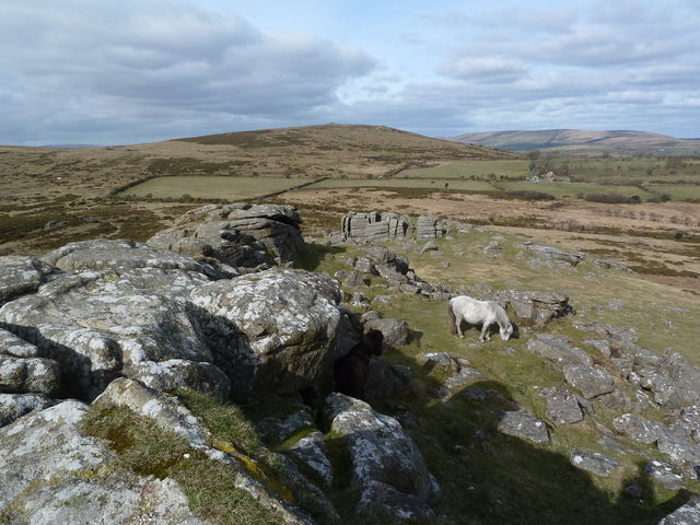 View from Sharp Tor