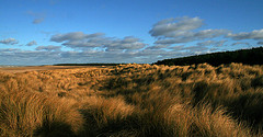 View of Holkham Beach