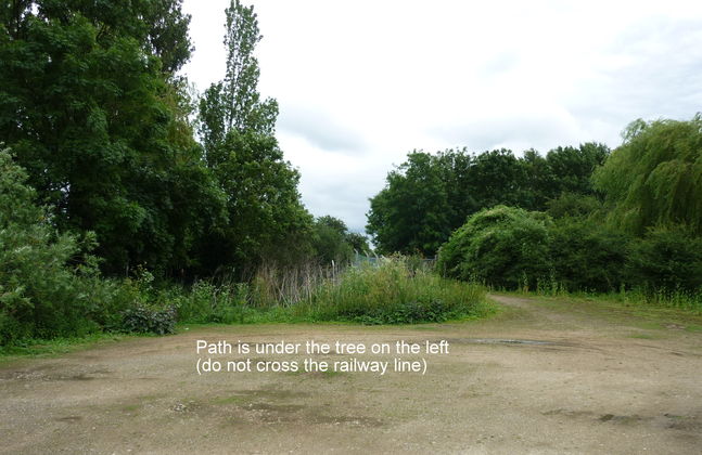 Turn left in front of bushes and under trees and pass through a gate. Do not cross railway line.