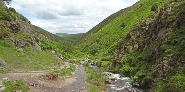 Looking back along Light Spout Hollow