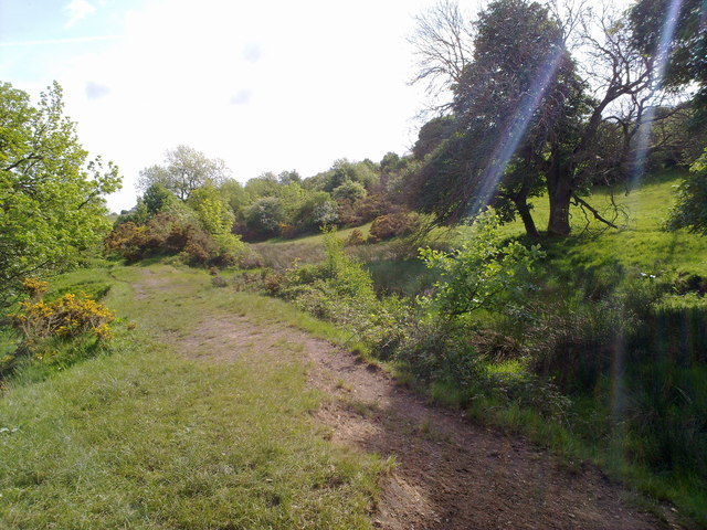 Old waggonway
© Copyright Robert Graham and licensed for reuse under this Creative Commons Licence