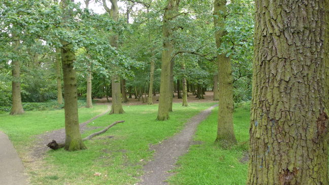 View of Maund's Wood from footpath between waypoints [4] and [5]