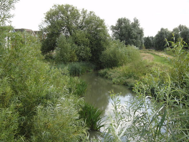 Broughton Brook from the Bridge