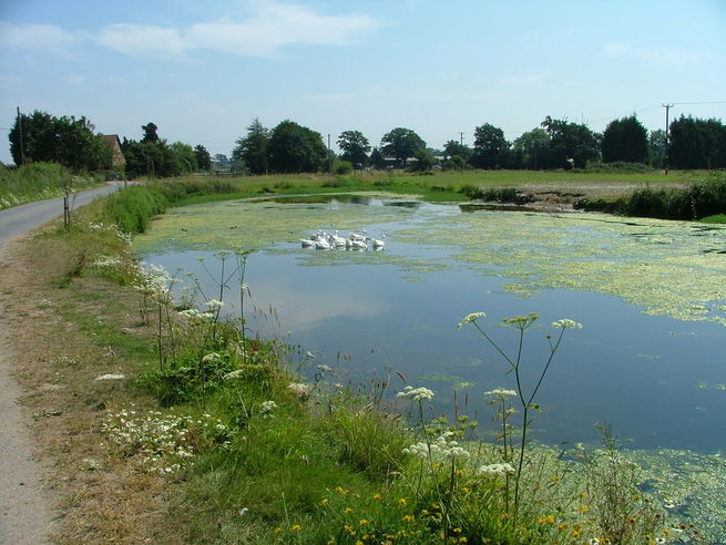 The ponds near Parley Manor