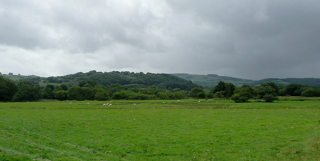 Afon Teifi flood plain at Lampeter