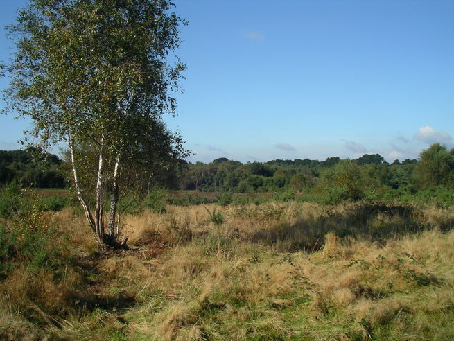 Parley Common