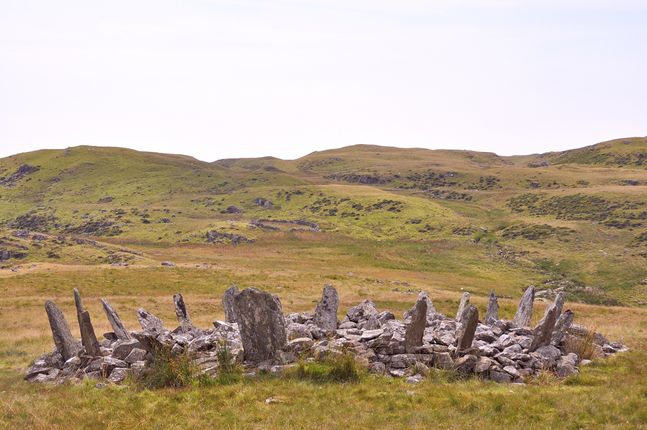 Trawsfynydd - Bryn Cader Faner