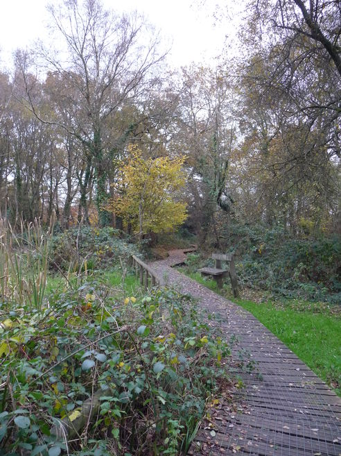 Leigh Common