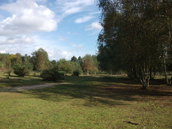 A view of the walk from the path