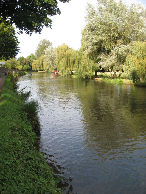 Wey Navigation