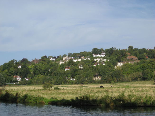 River Wey and Watermeadows