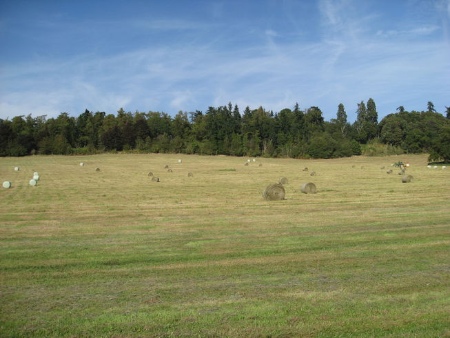 Hay Making on Loseley Estate