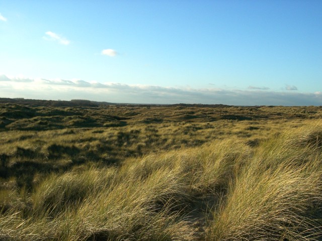 Winterton Dunes