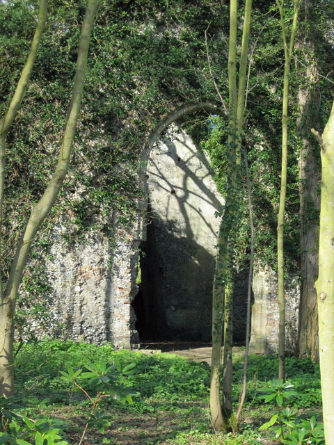 Ruins of St Mary's Church in East Somerton