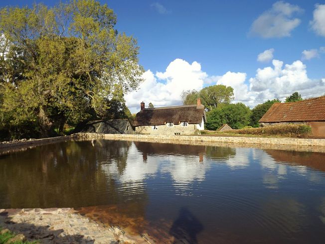 East Quantoxhead Duckpond