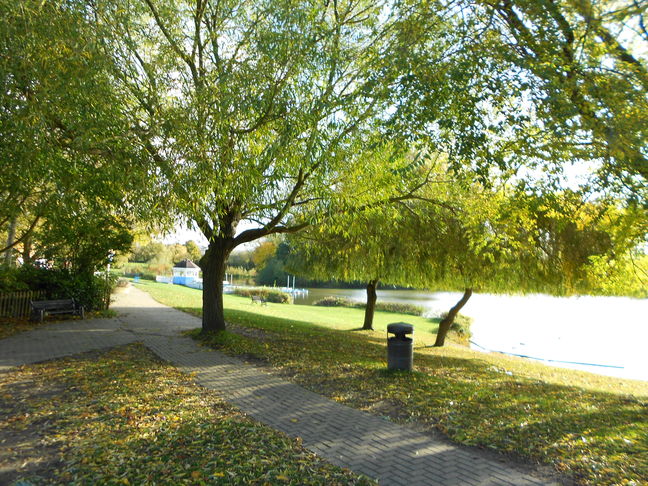 Swanley Park