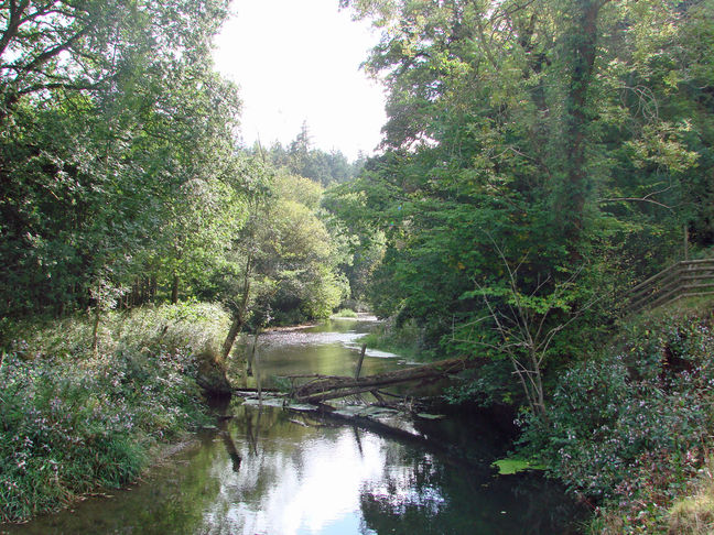 The River Lugg at Yeld Wood